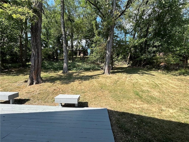 view of yard featuring a deck