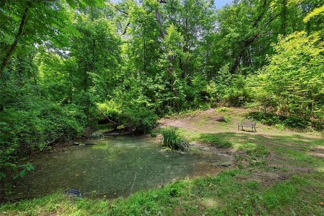 view of yard with a water view