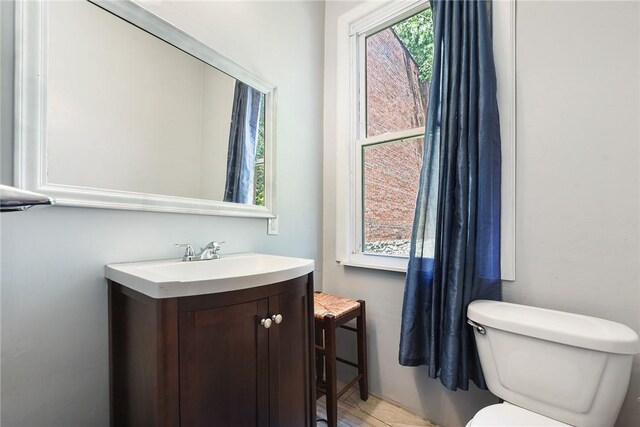 bathroom with toilet and vanity