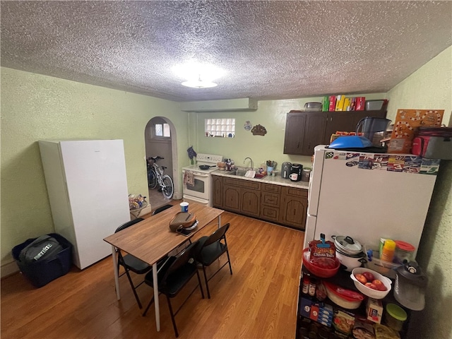 dining room with light hardwood / wood-style flooring, a textured ceiling, and sink