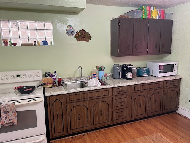 kitchen featuring light wood-type flooring, white appliances, dark brown cabinetry, and sink