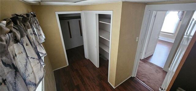 hallway featuring dark wood-type flooring