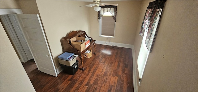 interior space with dark wood-type flooring