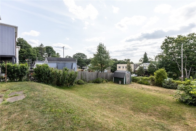 view of yard with a storage unit