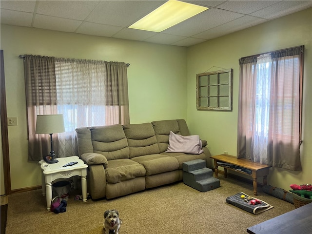 carpeted living room featuring plenty of natural light and a paneled ceiling