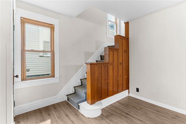 staircase with hardwood / wood-style flooring