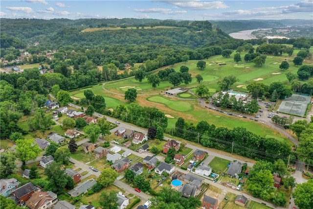 bird's eye view