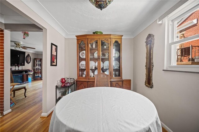 interior space with ceiling fan, crown molding, and hardwood / wood-style flooring