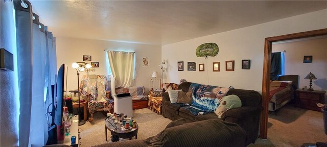 living room featuring carpet flooring