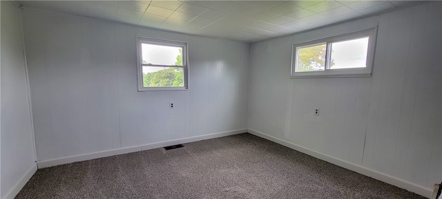 carpeted empty room with a wealth of natural light