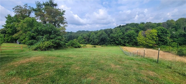 view of yard with a rural view