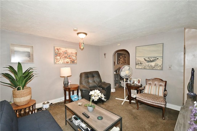 carpeted living room with a textured ceiling