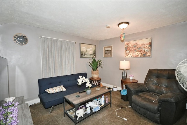 living room with carpet flooring and a textured ceiling