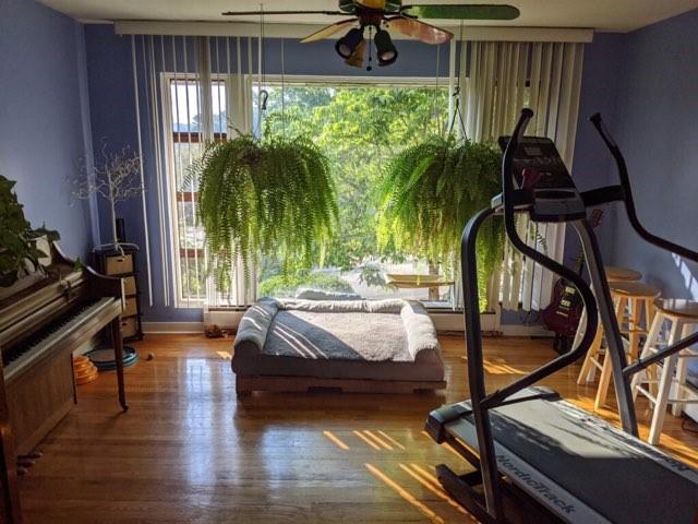 workout area with wood-type flooring and ceiling fan