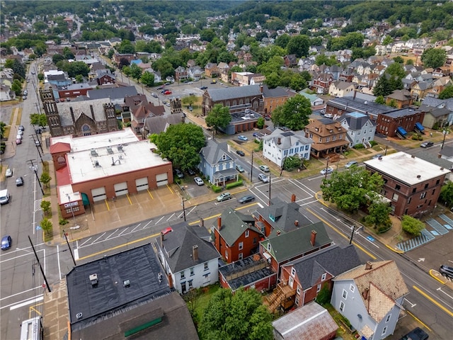 bird's eye view