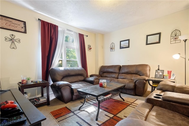 living room featuring light carpet and a textured ceiling