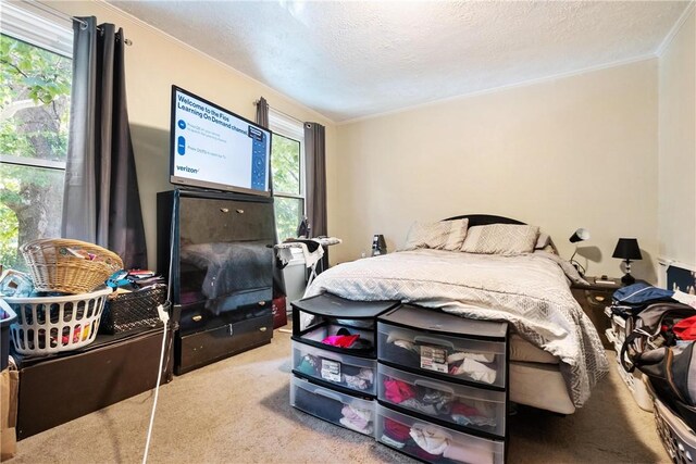 bedroom with a textured ceiling, ornamental molding, and light colored carpet