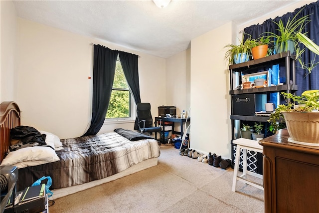 bedroom featuring carpet floors and a textured ceiling