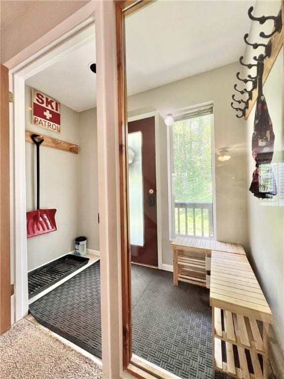 mudroom featuring carpet