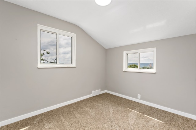 additional living space featuring lofted ceiling and carpet floors