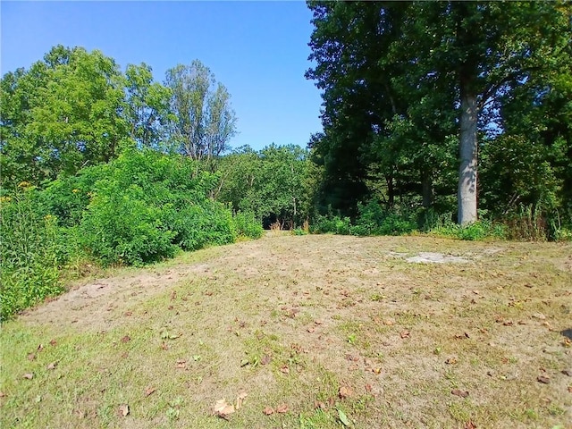 540 Market St, Fairfield Twp, PA 15923 - view of local wilderness