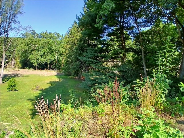 view of landscape