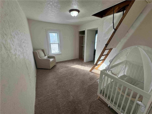 interior space featuring carpet and a textured ceiling