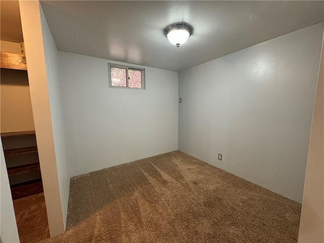 basement featuring carpet