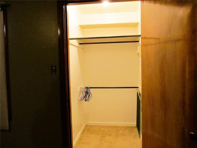 view of closet