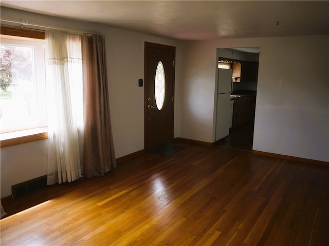 entrance foyer featuring dark hardwood / wood-style flooring