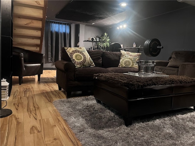 home theater featuring light hardwood / wood-style flooring