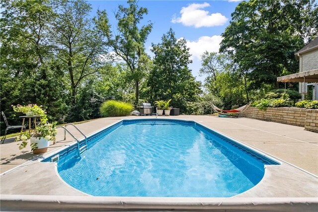 view of pool with a patio and grilling area