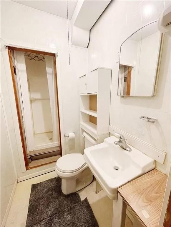 bathroom with toilet and sink