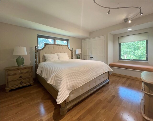 bedroom featuring multiple windows and wood finished floors