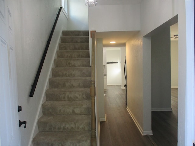 staircase with wood-type flooring