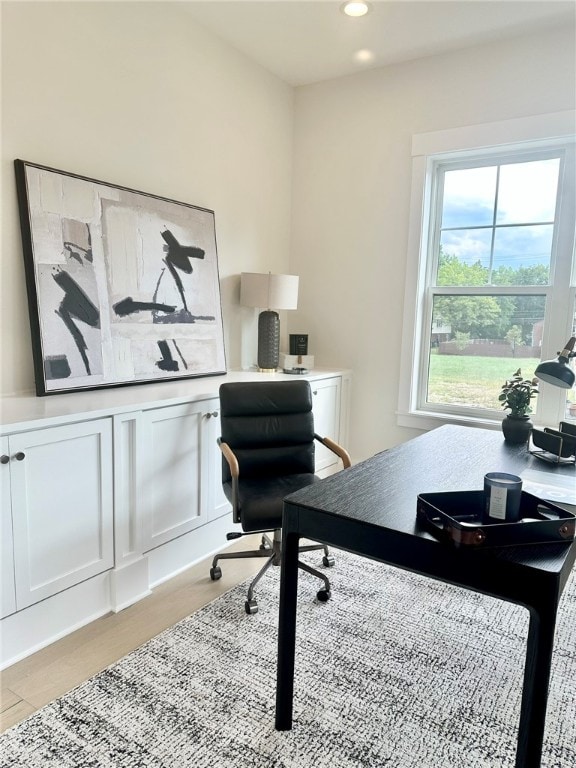 office featuring light hardwood / wood-style flooring