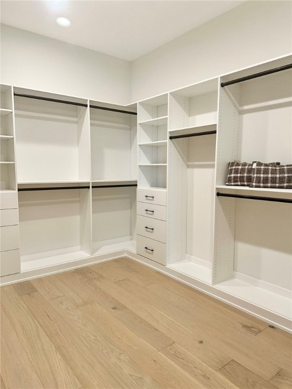 spacious closet with wood-type flooring