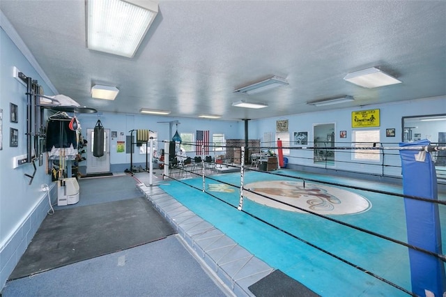 145 Short Ridge Rd, Coal Center Boro, PA 15423 - view of pool