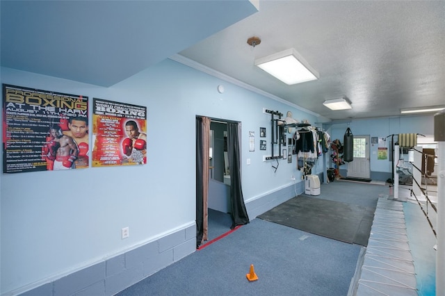 interior space with carpet flooring, crown molding, and a textured ceiling