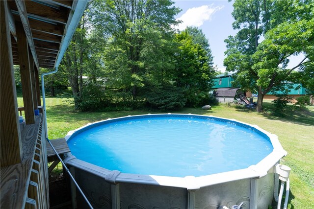 view of pool featuring a yard