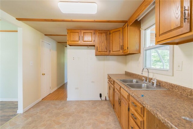 kitchen with light hardwood / wood-style floors and sink