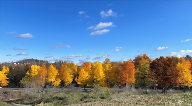 view of landscape featuring a rural view