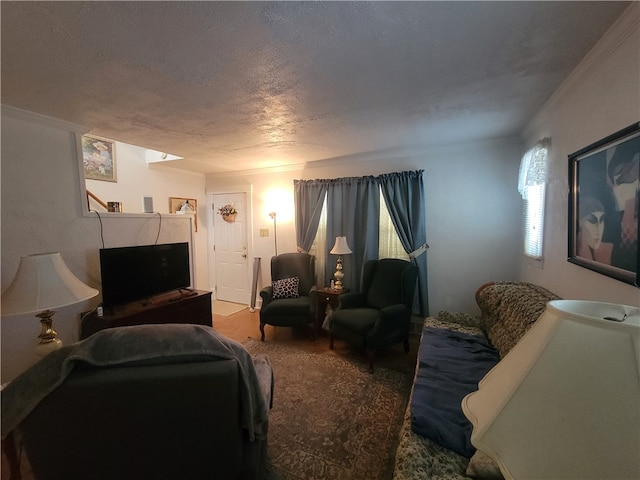 living room featuring a textured ceiling