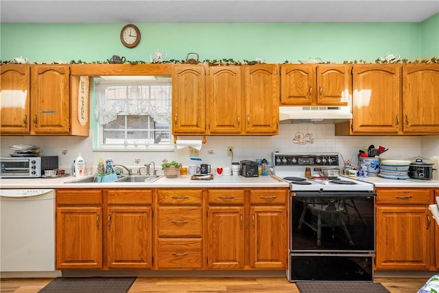 kitchen featuring dishwasher, sink, decorative backsplash, light hardwood / wood-style floors, and electric stove