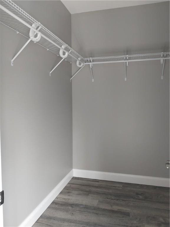 spacious closet featuring dark wood-type flooring