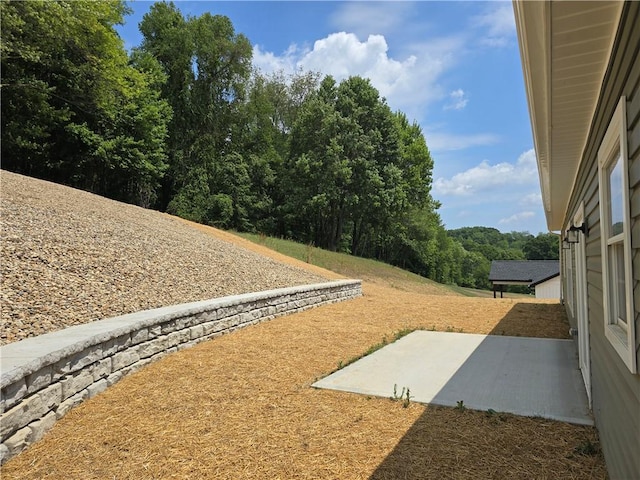 view of yard featuring a patio area