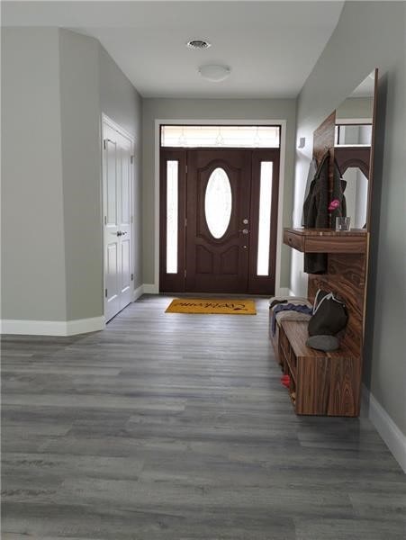 foyer entrance featuring wood-type flooring