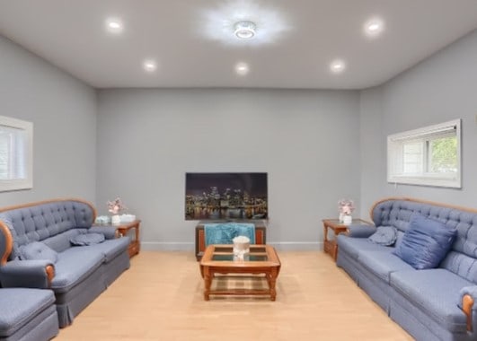 living room with hardwood / wood-style floors