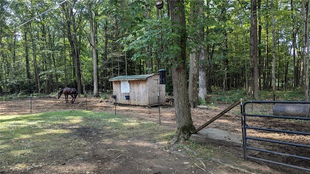 view of yard featuring a shed