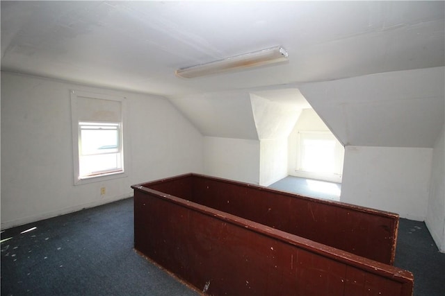 814 Etna St, Mckees Rocks, PA 15136 - additional living space featuring carpet floors, vaulted ceiling, and baseboards